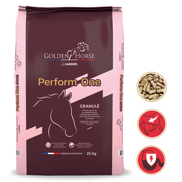 Golden Horse - Aliment Cheval Perform One