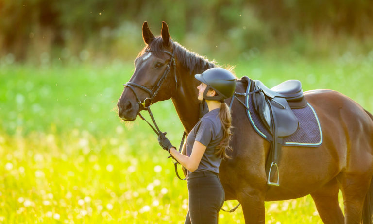 Golden - Horse Reprendre le travail avec votre cheval après un arrêt prolongé