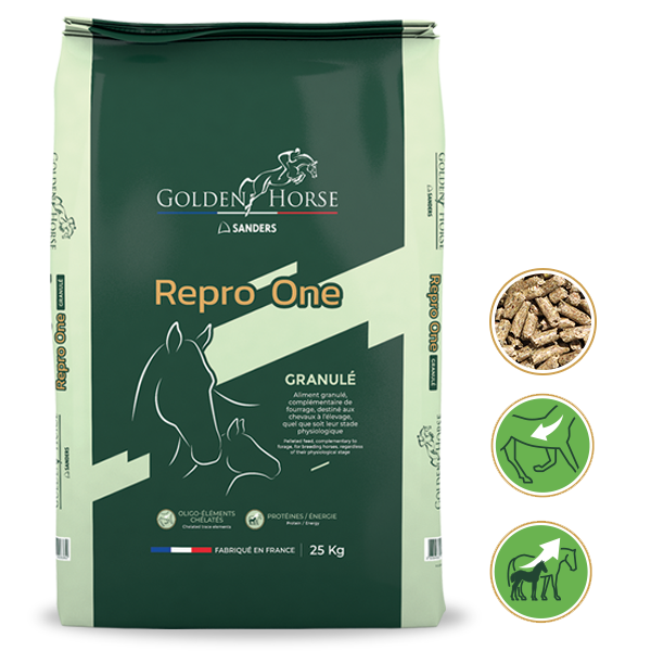 Golden Horse - Aliment Cheval Repro One