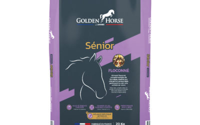 Nouveauté produit :  Golden Horse Senior